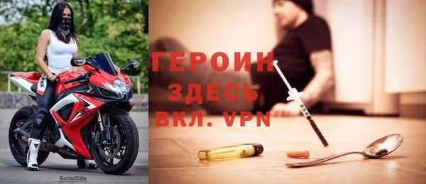 индика Гусев