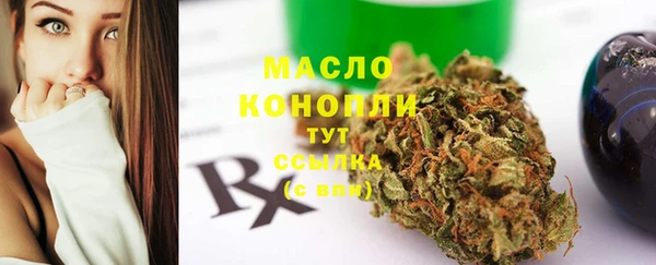 индика Гусев