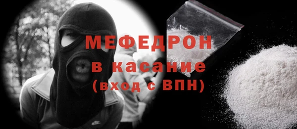 индика Гусев