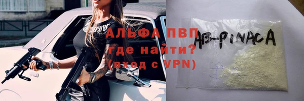 индика Гусев