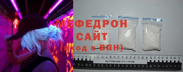 индика Гусев