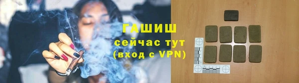 индика Гусев