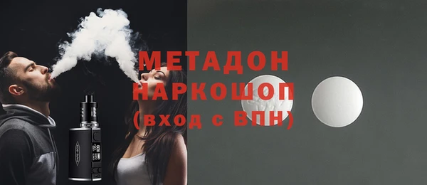 индика Гусев