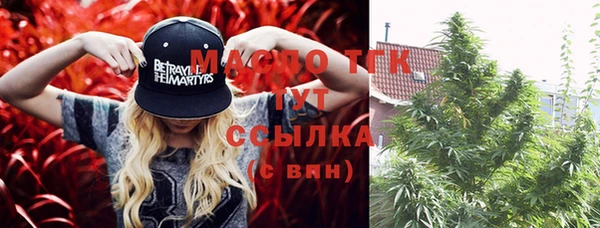 индика Гусев