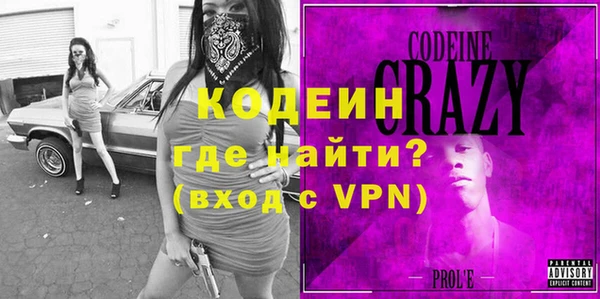 индика Гусев