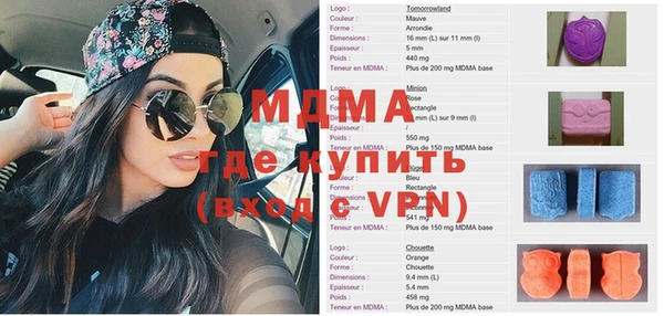 индика Гусев