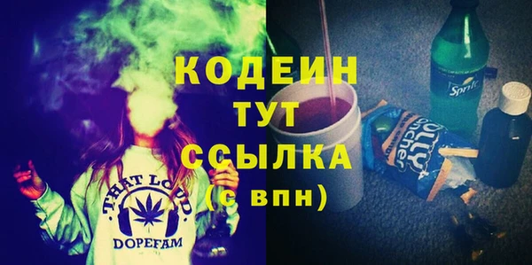 индика Гусев