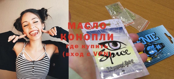 индика Гусев
