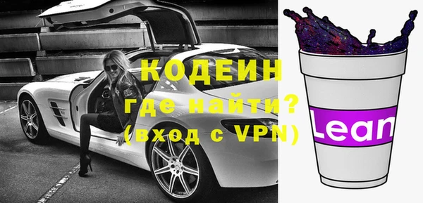 индика Гусев