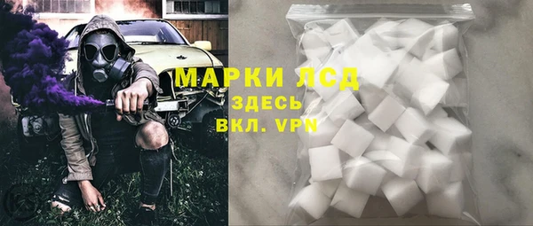 индика Гусев
